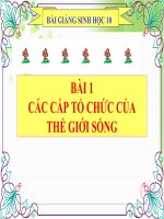 bài giảng sinh học 10 bài 1 các cấp trong tổ chức thế giới sống