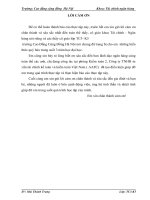 giải pháp quản lý và nâng cao hiệu quả sử dụng vốn kinh doanh tại công ty tnhh tư vấn tài chính kế toán và kiểm toán việt nam