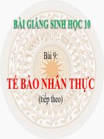 bài giảng sinh học 10 bài 9 tế bào nhân thực (tiếp theo)