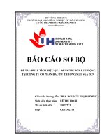 hoài phân tích hiệu quả quản trị vốn lưu động tại công ty cổ phần đầu tư thương mại nga