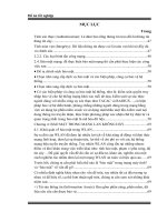 mạng máy tính không dây wlan