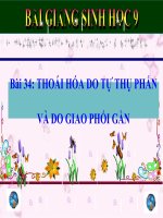 bài giảng sinh học 9 bài 34 thoái hóa do tự thụ phấn và do giao phối gần