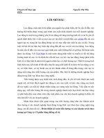 hoàn thiện kế toán tiền lương và các khoản trích theo lương tại công ty cổ phần sông hồng số 10.