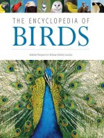 the encyclopedia of birds d