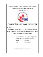 giải pháp phòng ngừa và hạn chế rủi ro tín dụng tại ngân hàng nông nghiệp và phát triển nông thôn huyện đông sơn