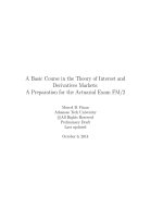 a basic course in the theory of interest and derivatives markets