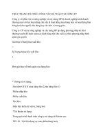 thực trạng tổ chức công tác kế toán tại công ty HẢI HẬU