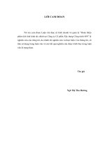 hoàn thiện phân tích tài chính tại công ty cổ phần xây dựng công trình 484