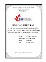 một số giải pháp nhằm hoàn thiện công tác đào tạo và phát triển nhân sự tại công ty tnhh thương mại và dịch vụ hiếu ánh ngọc