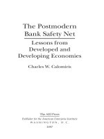 the postmodern bank safety net