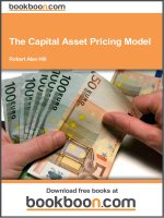 The Capital Asset Pricing Model