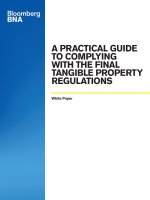 a practical guide to complying with final tangible property regulations