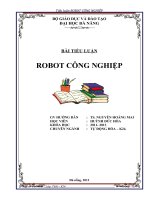 TIỂU LUẬN ROBOT CÔNG NGHIỆP ĐẠI HỌC ĐÀ NẴNG