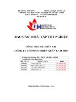 công việc kế toán tại công ty cổ phần thiện xuân lam sơn