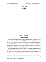 giải pháp nâng cao hiệu quả sản xuất kinh doanh của công ty tnhh minh tiến