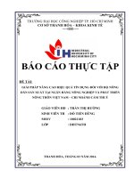 giải pháp nâng cao hiệu quả tín dụng đối với hộ nông dân sản xuất tại ngân hàng nông nghiệp và phát triển nông thôn việt nam – chi nhánh cẩm thuỷ