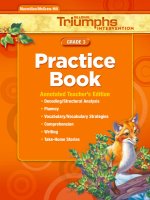 reading triumphs practice book grate 3