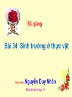 bài giảng sinh học 11 bài 34 sinh trưởng ở thực vật