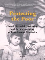 protecting the poor; global financial institutions and the vulnerability of low-income countries (the hague; fondad, 2005)