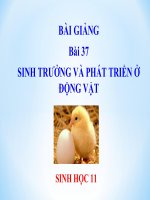 bài giảng sinh học 11 bài 37 sinh trưởng và phát triển ở động vật