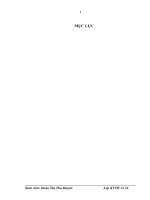 một số đánh giá về tình hình tổ chức hạch toán kế toán tại công ty cp thuốc bvtv việt trung .