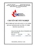 hoàn thiện kế toán bán hàng và xác định kết quả kinh doanh tại công ty tnhh thương mại sơn hà