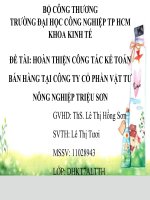 hoàn thiện công tác kế toán bán hàng tại công ty cổ phần vật tư nông nghiệp triệu sơn