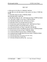 kế toán nguyên vật liệu tại công ty tnhh duy khánh