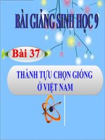 bài giảng sinh học 9 bài 37 thành tựu chọn giống ở việt nam