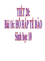 bài giảng sinh học 10 bài 16 hô hấp tế bào