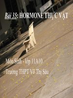 bài giảng sinh học 11 bài 35 hoocmôn thực vật