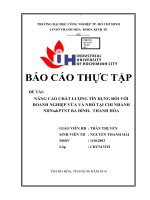 nguyễn thanh hải.nâng cao chất lượng tín dụng đối với doanh nghiệp vừa và nhỏ tại chi nhánh nhno&ptnt ba đình-  thanh hóa