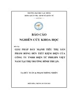 báo cáo nghiên cứu khoa học sinh viên giải pháp đẩy mạnh tiêu thụ sản phẩm bóng đèn tiết kiệm điện của công ty tnhh điện tử philips việt nam tại thị trường bình thuận