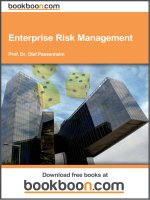 enterprise risk management