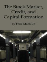 the stock market, credit, and capital formation