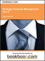 Strategic Financial Management Part II Finance and Wealth Decisions
