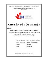 giải pháp cho hệ thống ngân hàng thương mại việt nam trước xu thế sáp nhập, hợp nhất và mua lại