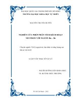 Nghiên cứu phép phân tích kích hoạt Neutron với nguồn Ra – Be
