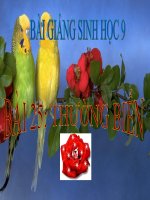 bài giảng sinh học 9 bài 25 thường biến