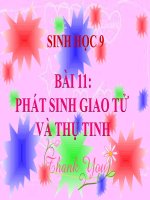 bài giảng sinh học 9 bài 11 phát sinh giao tử và thụ tinh
