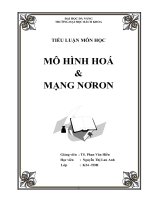 TIỂU LUẬN MÔN HỌC MÔ HÌNH HOÁ   MẠNG NƠRON