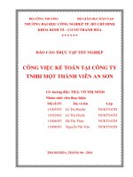 công việc kế toán tại công ty tnhh một thành viên an sơn