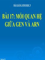 bài giảng sinh học 9 bài 17 mối quan hệ giữa gen và arn