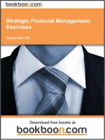 strategic financial management; exercises