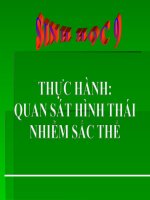 bài giảng sinh học 9 bài 14 thực hành quan sát hình thái nhiễm sắc thể