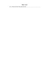 phân tích tình hình tài chính tại công ty trách nhiệm hữu hạn hà nội chợ lớn. thực trạng và giải pháp