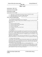 một số giải pháp góp phần hoàn thiện công tác hạch toán kế toán doanh thu tiêu thụ và xác định kết quả kinh doanh tại công ty tnhh tiến hiếu.