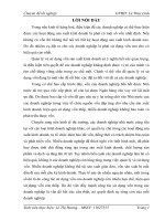 giải pháp nâng cao hiệu quả sử dụng vốn tại công ty tnhh nội thất tăng ảnh