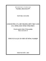 ảnh hưởng của đô thị hoá đến việc làm của nông dân tỉnh vĩnh phúc(tóm tắt)