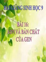bài giảng sinh học 9 bài 16 adn và bản chất của gen